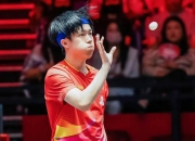 1xBit体育入口-格局新升级，阵容实力备受瞩目的简单介绍