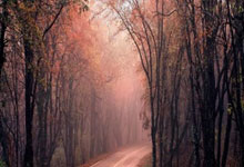 1xBit体育网址-沃尔夫斯堡全线火热，蓄势待发挑战不怀好意的对手