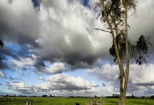 1xBit体育网站入口-世界女足比赛中国队精彩对战全记录