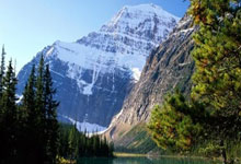 1xBit体育入口-丹麦队力克强敌，晋级半决赛乐观：足球魅力与团队精神的完美展现