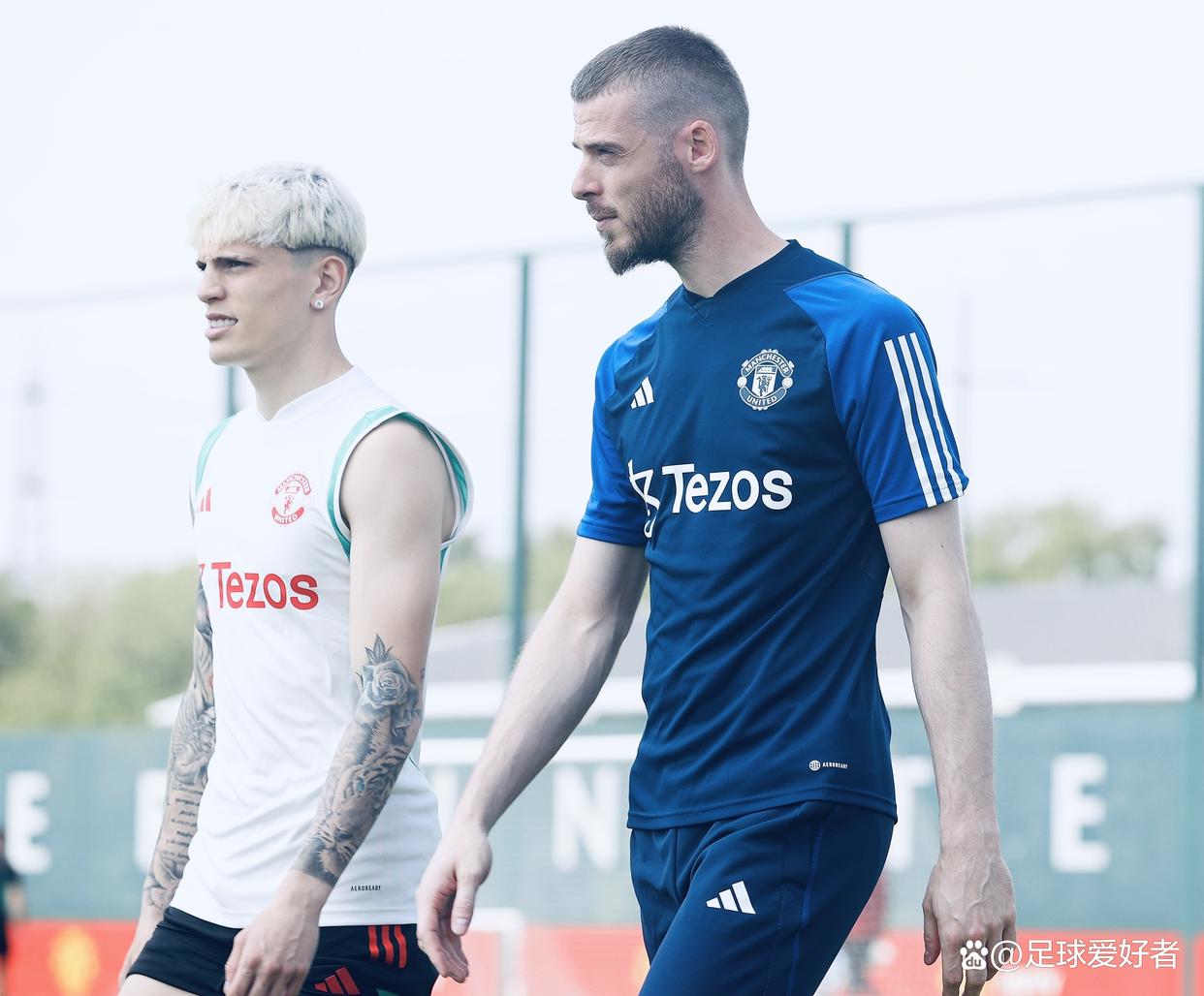 热刺后卫突发伤情，球队缺兵少将状态不佳的简单介绍