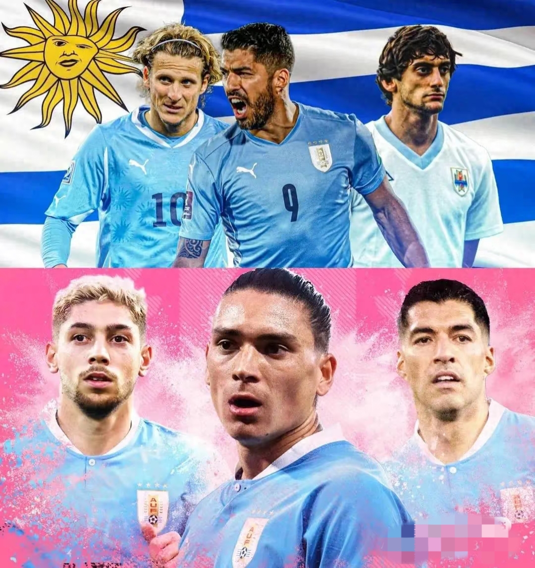 关于南美足球赛场上的热门球队，谁将问鼎冠军的信息