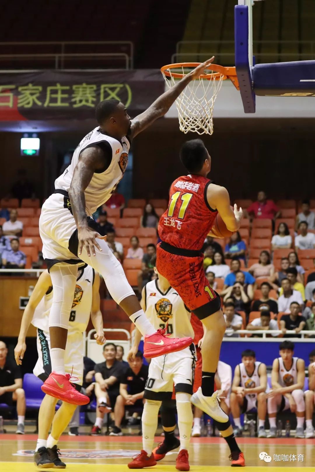 福建浔兴股份主场开幕式热闹登场，球迷狂热支持的简单介绍