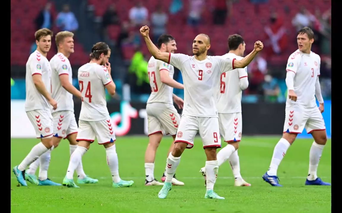 斯洛文尼亚队欧预赛表现抢眼的简单介绍